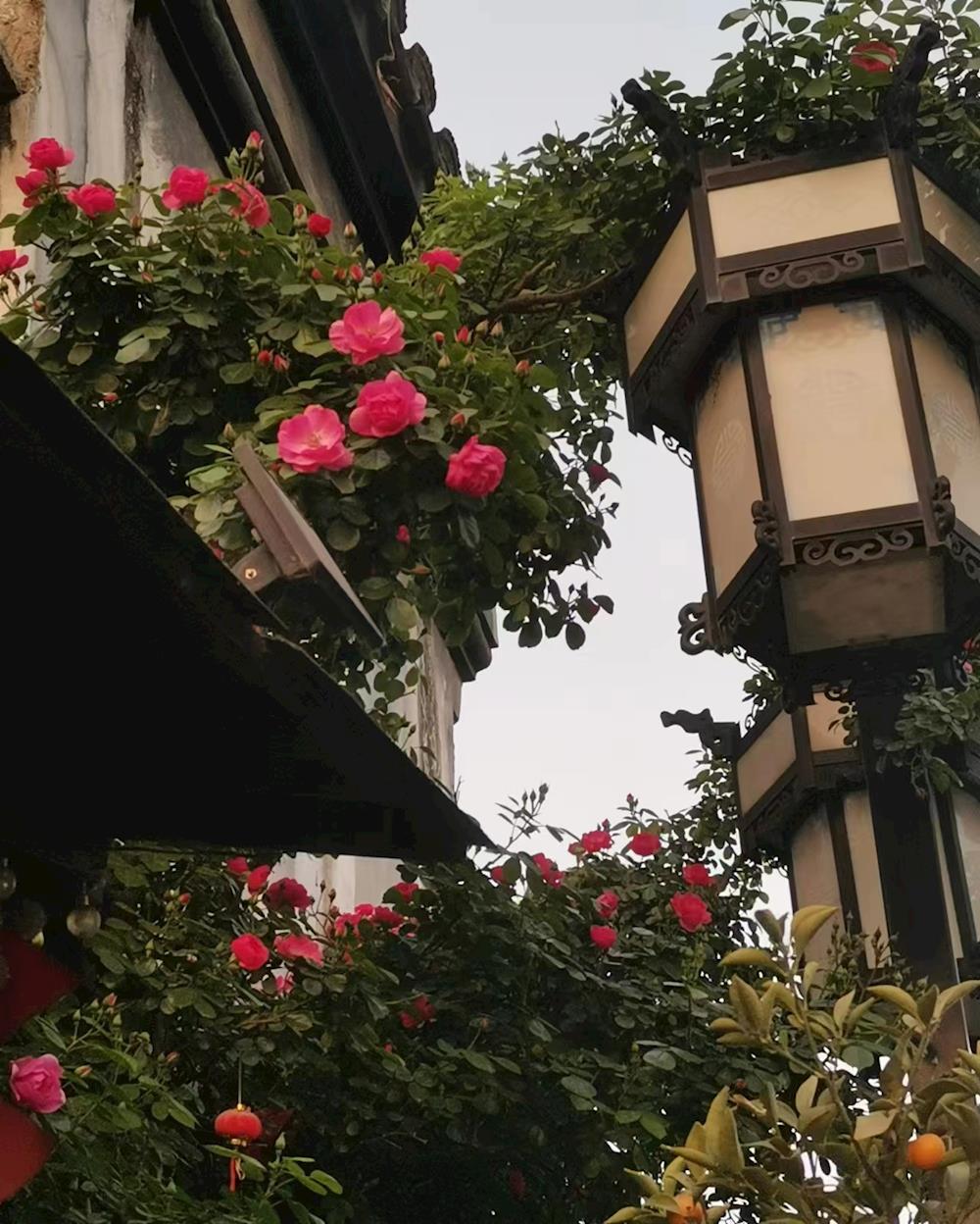 d2406cf8af334ef4936bcea9fe068d75.jpg