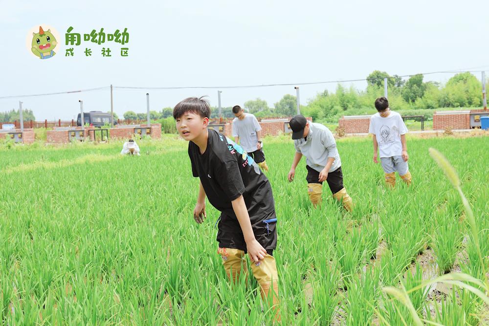 ff17973117b446f695d43355a9a3a5c1.jpg