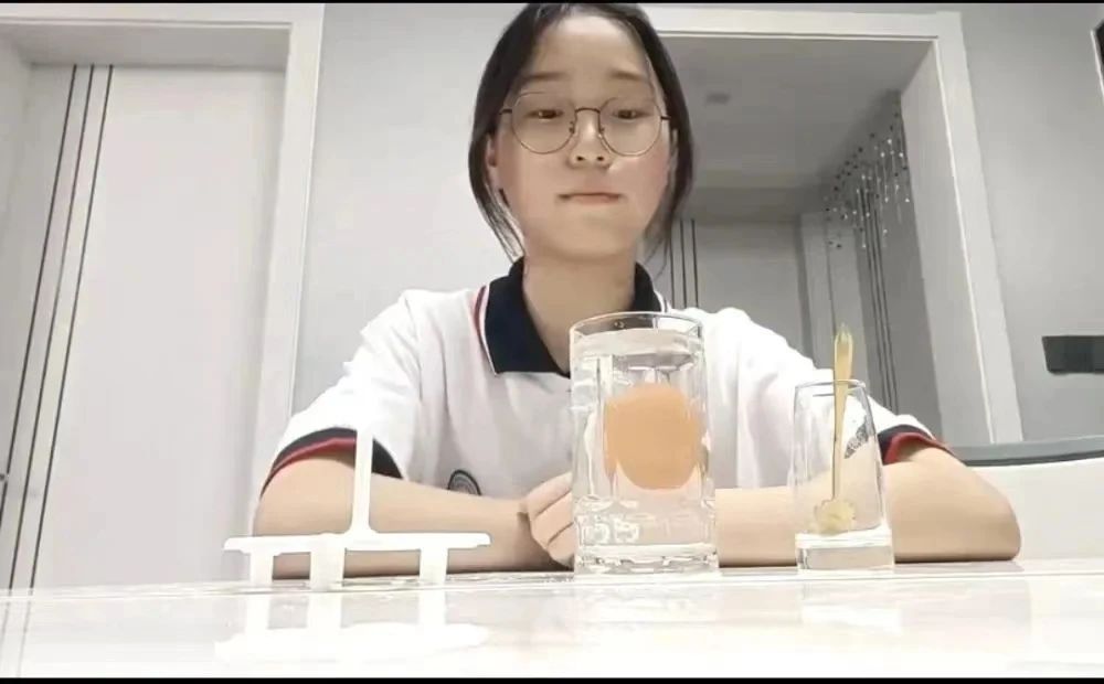 微信图片_20241016173837