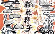 经典阅读启心智，手抄报展显才情 ——初一年级名著手抄报展示