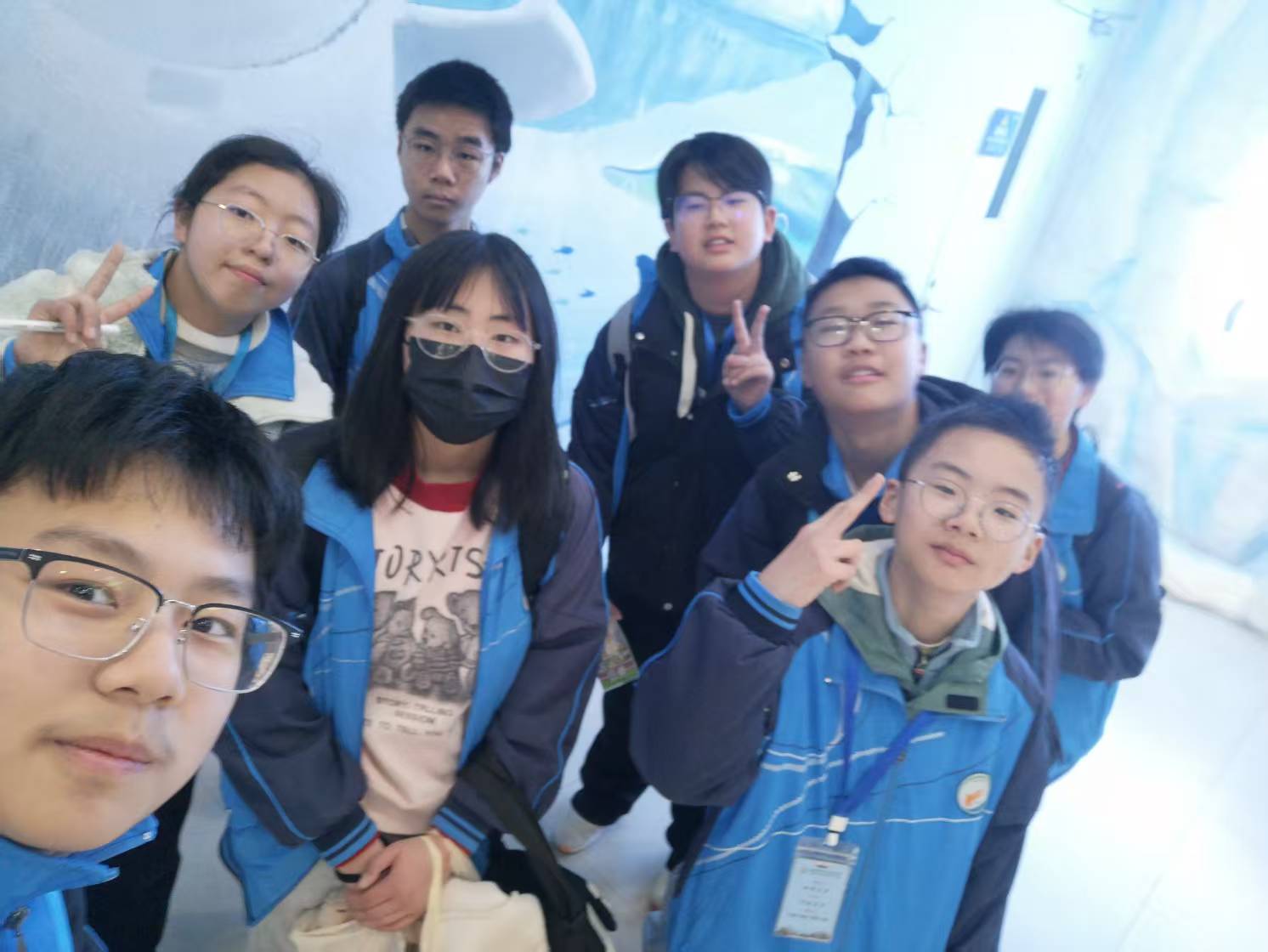 图片8