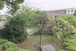 校园掠影（二）