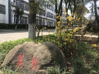 校园春色